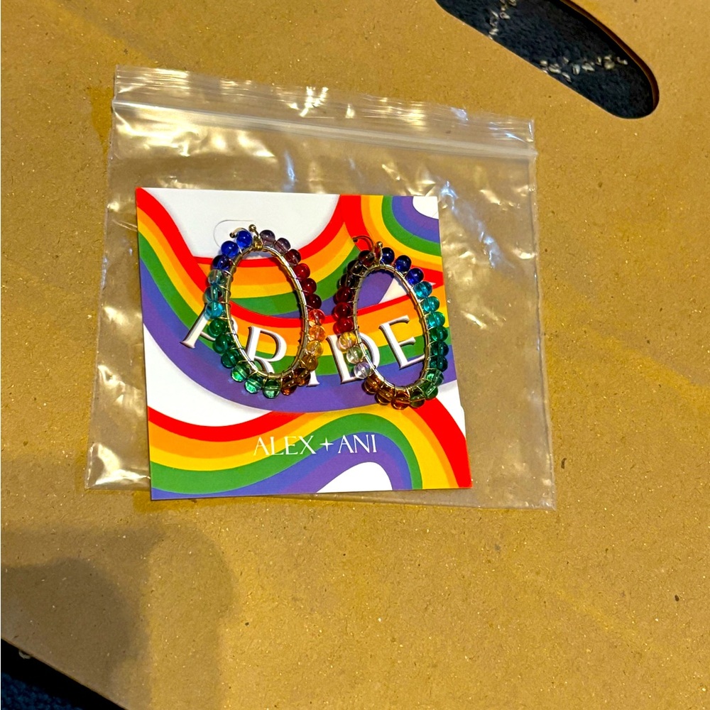 Alex and Ani Pride Beaded Hoop Earrings